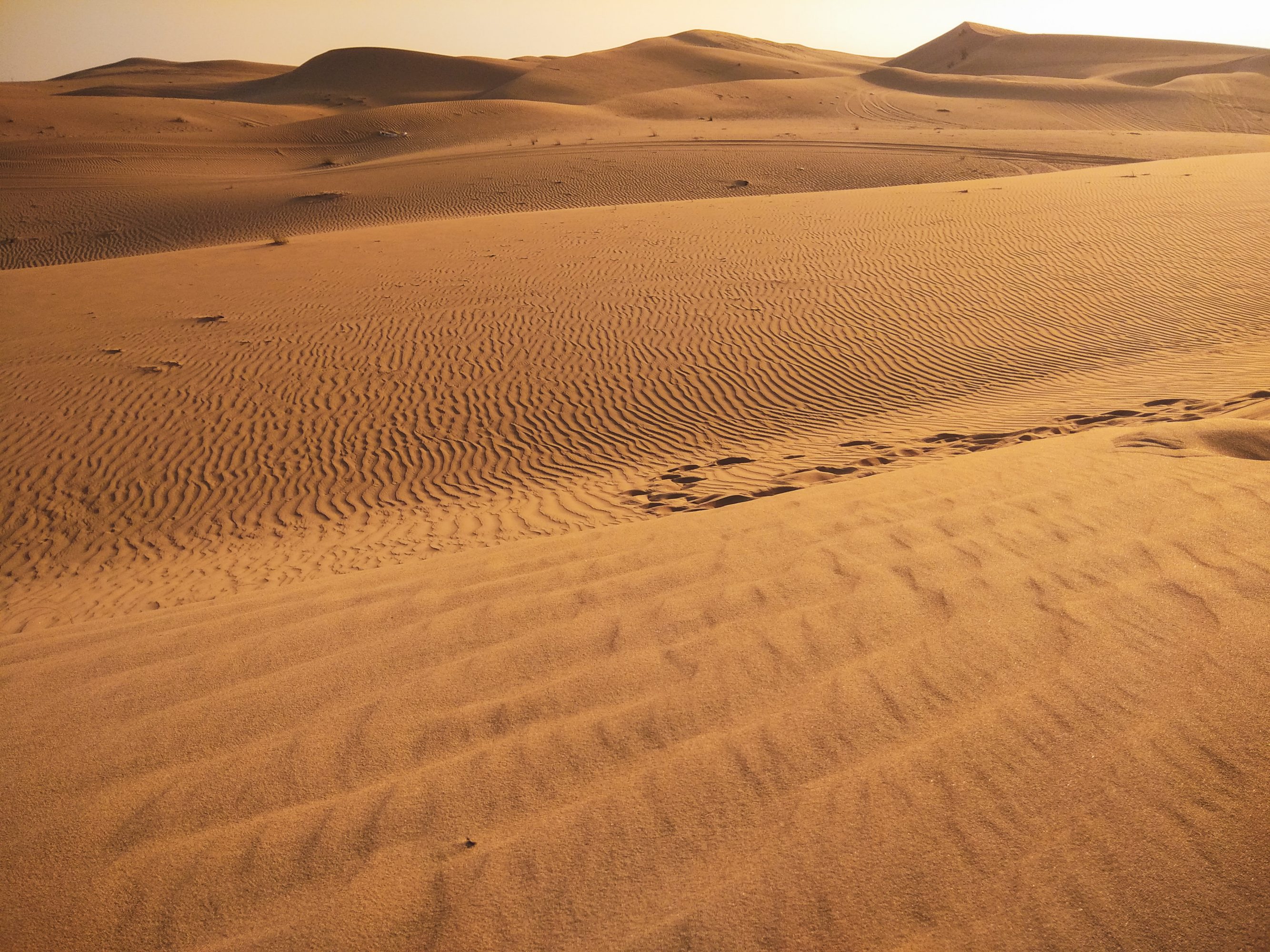 Abu Dhabi Desert