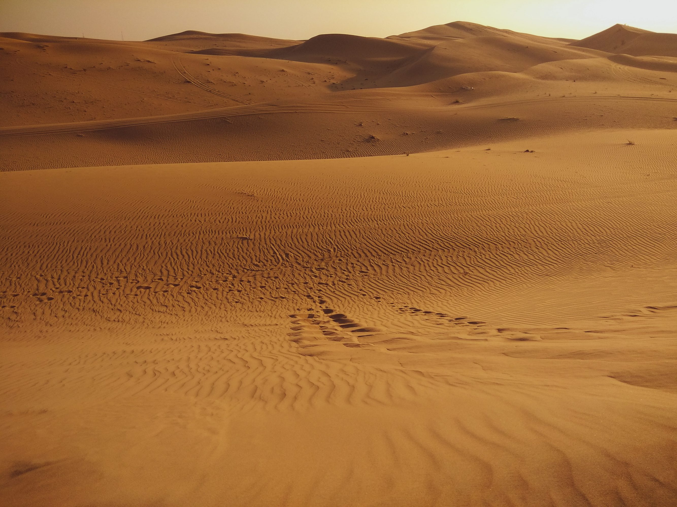 Desert in Abu Dhabi