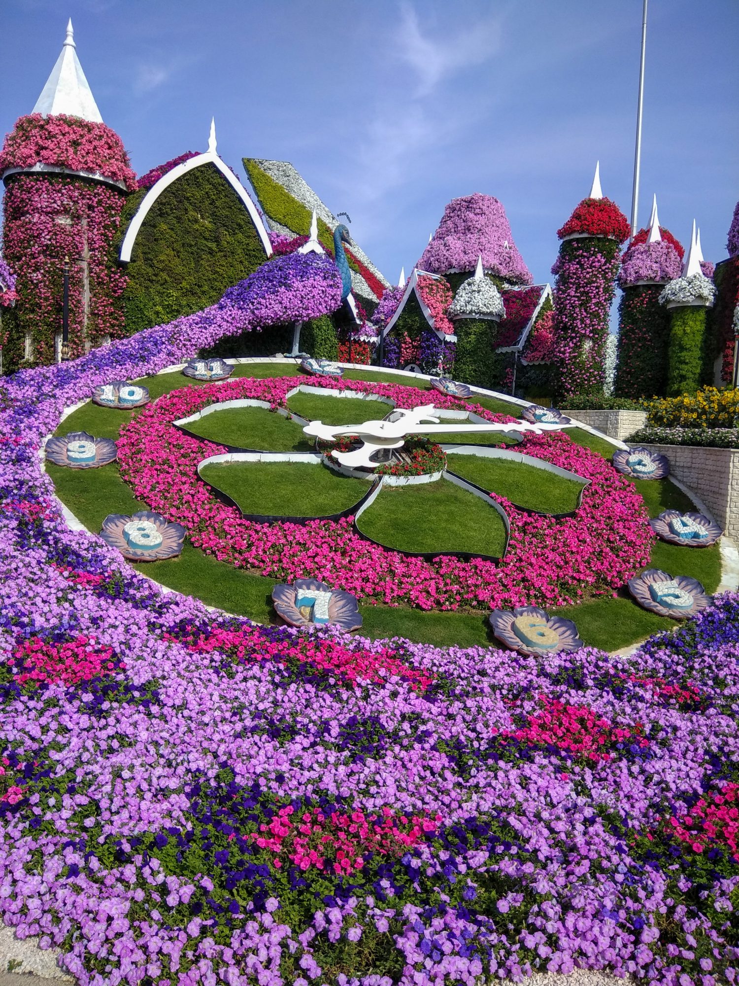 Inside Dubai Miracle Garden