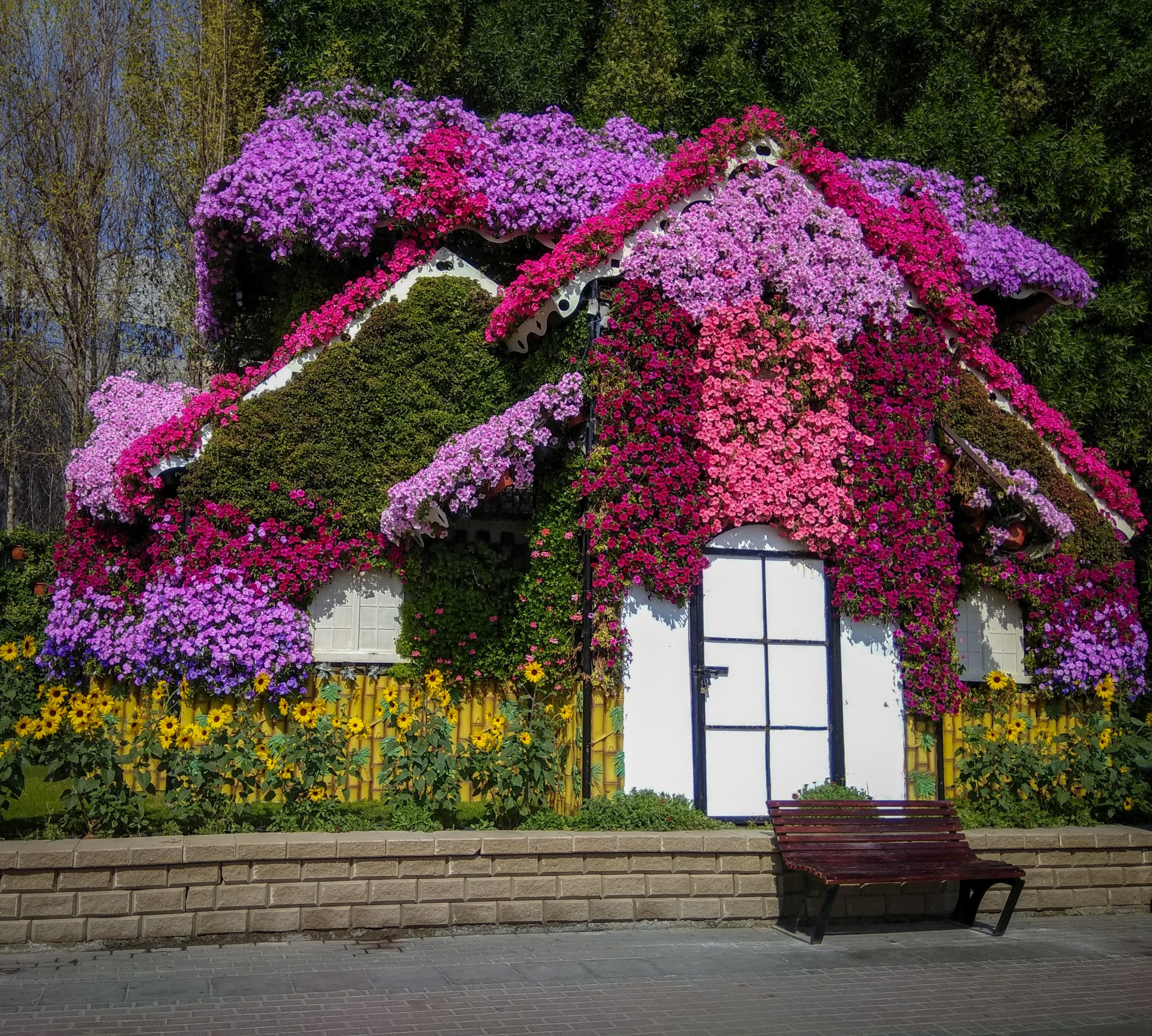 Inside Dubai Miracle Garden