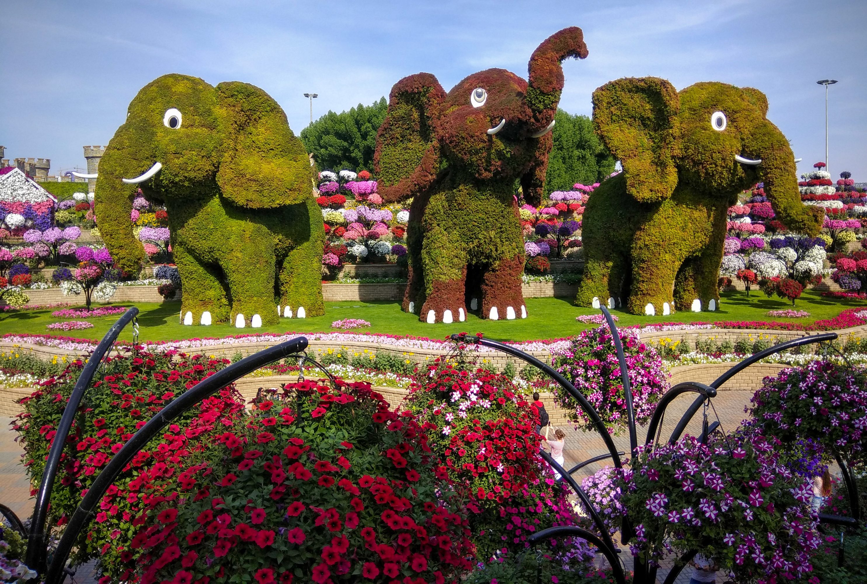 Inside Dubai Miracle Garden