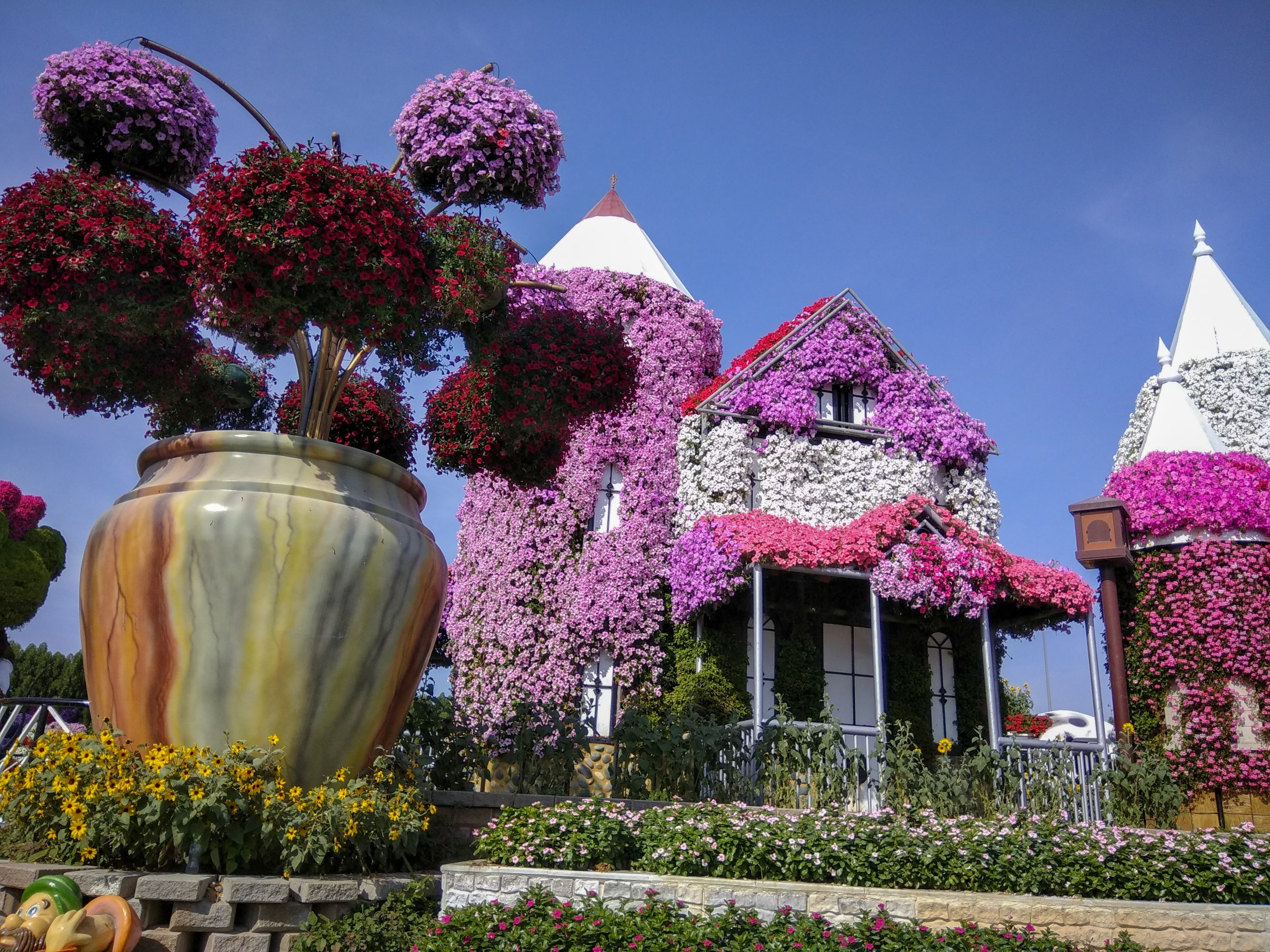 Inside Dubai Miracle Garden